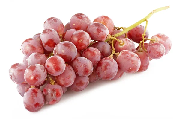 Świeże winogrona z kropli — Zdjęcie stockowe