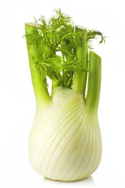 Fresh fennel — Stock Photo, Image