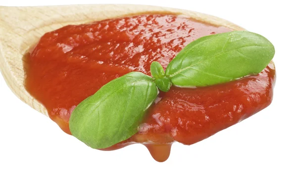 Sauce Tomate — Stockfoto