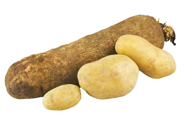 Potato of ghana — Stock Photo, Image