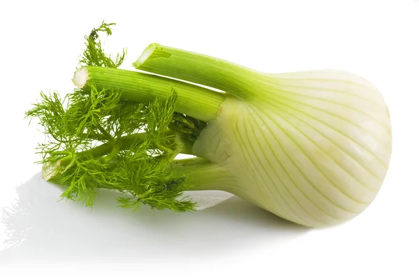 Fresh fennel — Stock Photo, Image