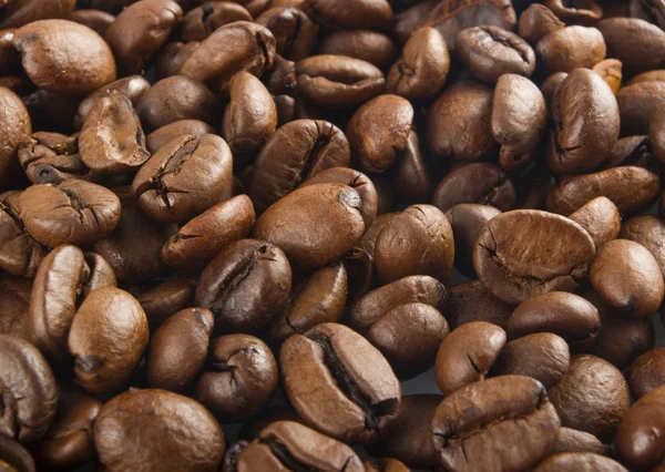 Koffie zaden — Stockfoto