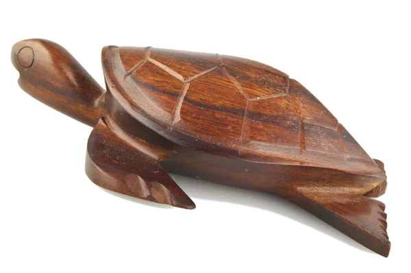 Tartaruga de madeira — Fotografia de Stock