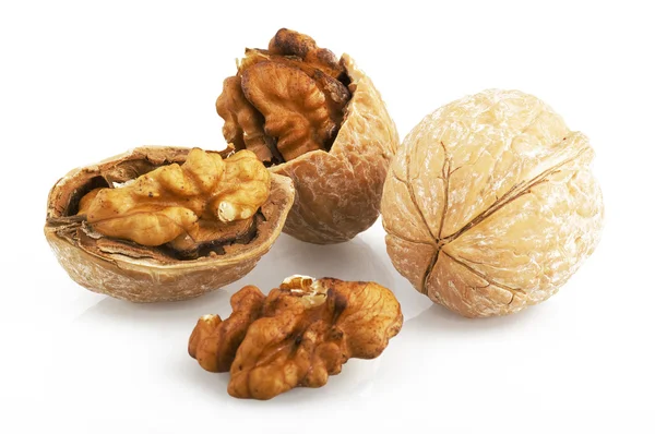 Орехи — стоковое фото