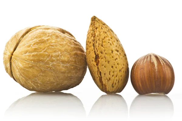 Walnut almond and nut — Stock Photo, Image