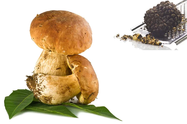 Boletus edulis porcini mushroom and truffles — Stock Photo, Image