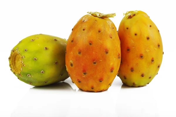 Prickly Pear — Stock Photo, Image