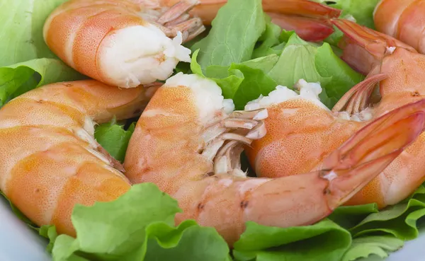 Crevettes Jumbo frites avec salade — Photo
