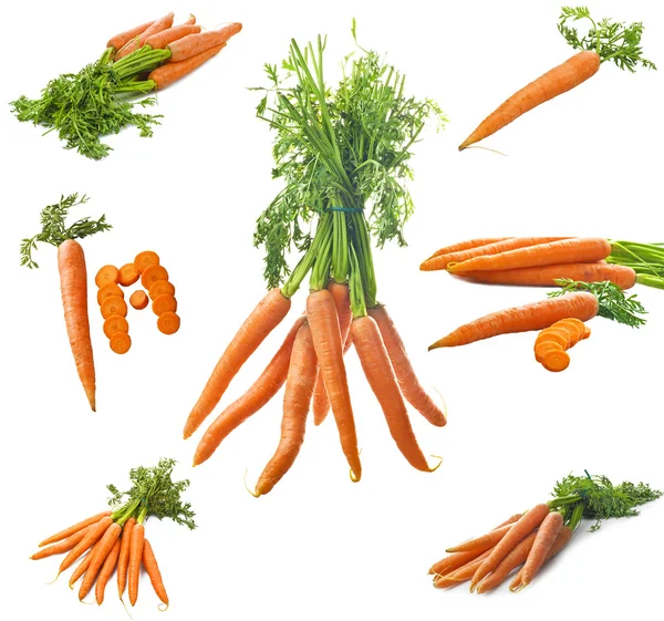 Colagem de cenouras — Fotografia de Stock