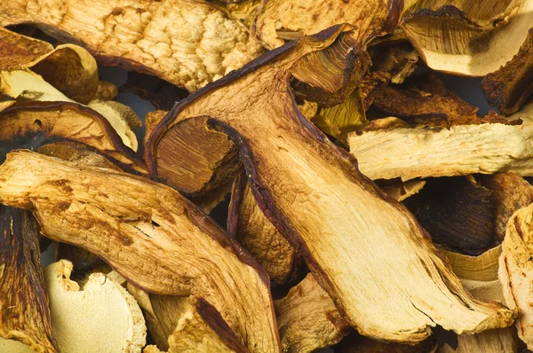 Dried mushrooms — Stock Photo, Image