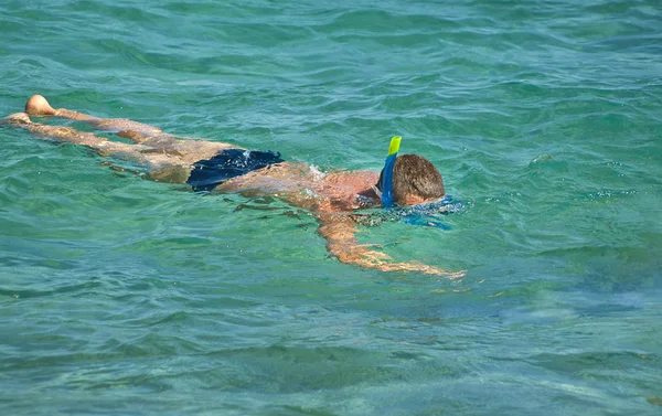 Snorkeling ember — Stock Fotó