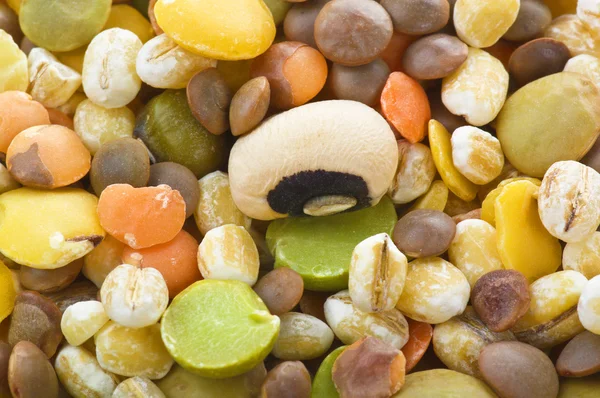 콩 믹스 — 스톡 사진