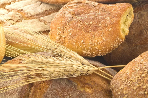 Mısır ve ekmek — Stok fotoğraf