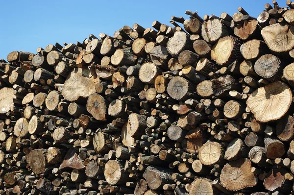 Pile de bois sur le camion — Photo
