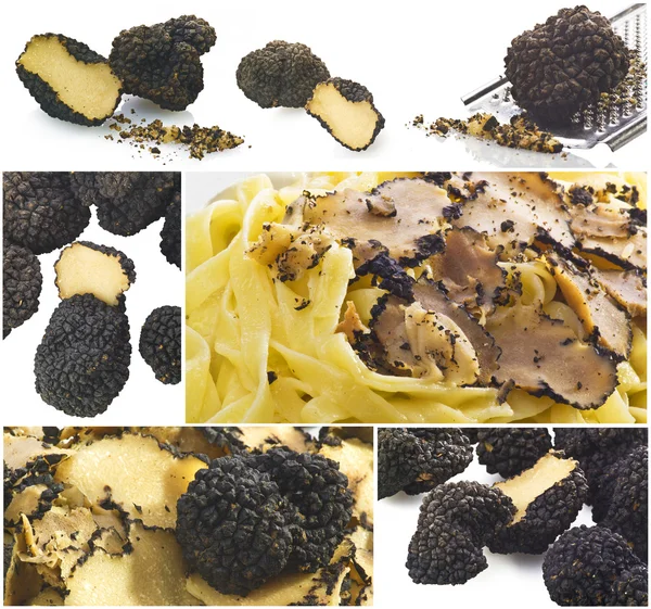 Collage de truffes — Photo