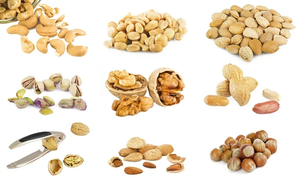 Collection of nuts — Stock Photo, Image