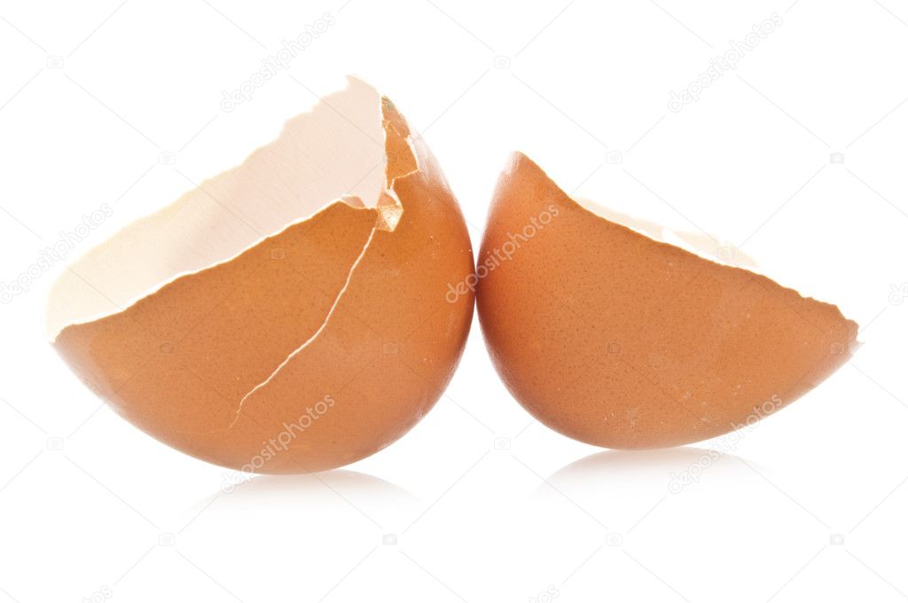 Egg broken empty