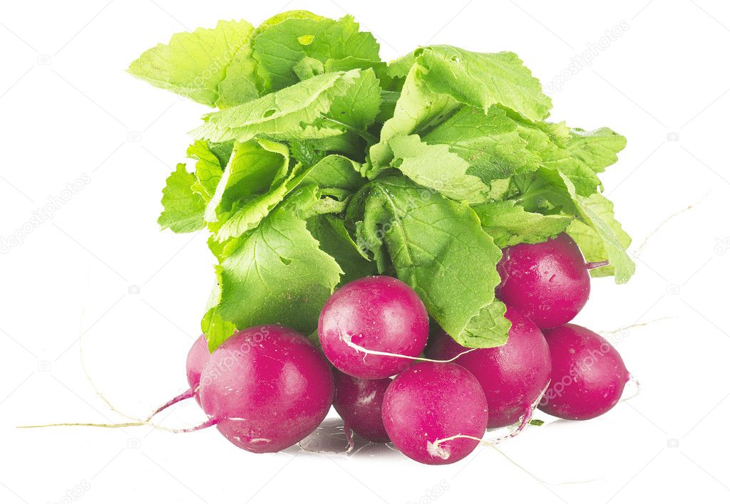 fresh radish | 圖庫照片 08 orlando.b #7207117