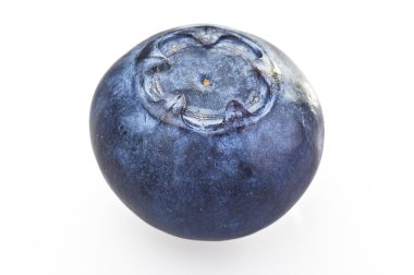 Blueberry clipart