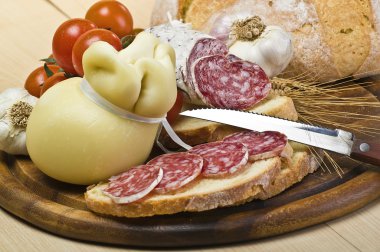 Cheese,salami and spices clipart