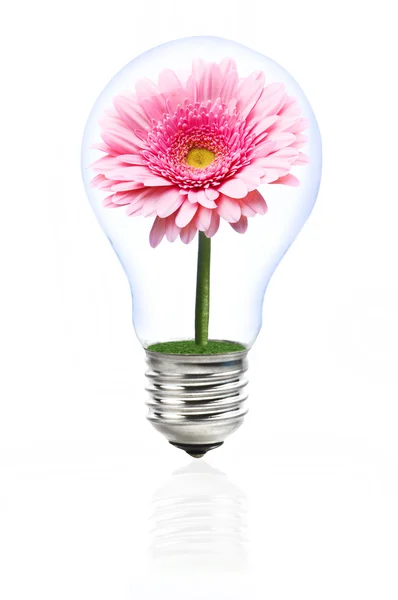 Ecological light bulb — Stock Photo, Image
