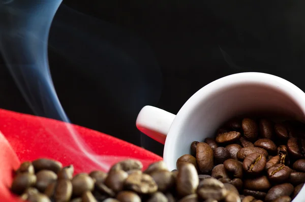Granos de café humeantes — Foto de Stock
