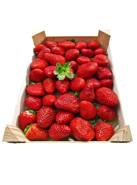 Schachtel Erdbeeren — Stockfoto