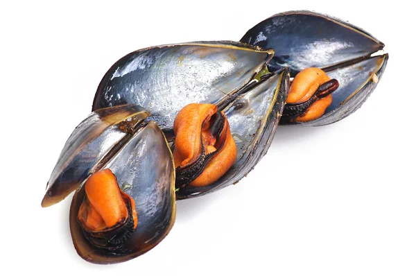 stock image Black mussels