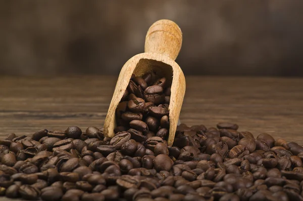 Koffie bonen — Stockfoto