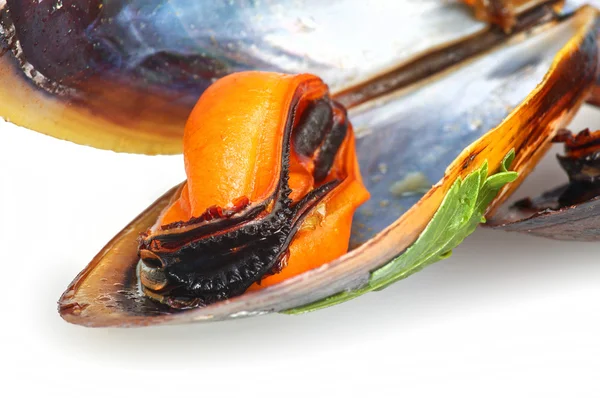 Black mussels — Stock Photo, Image