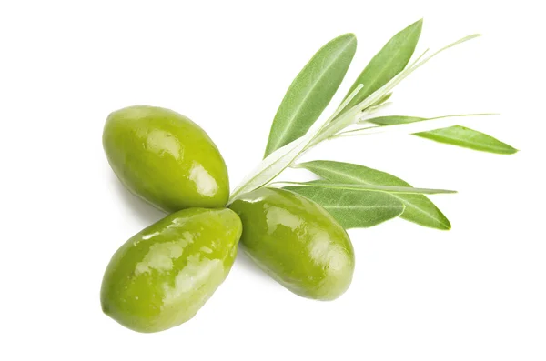 Ramo con olive — Foto Stock