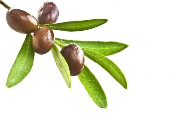 Відділення з оливками — стокове фото