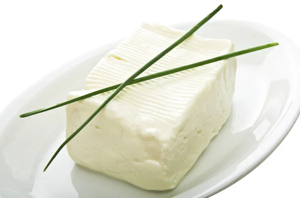 부드러운 치즈 — 스톡 사진