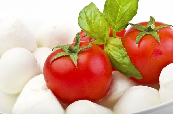 Küçük mozzarella ve domates — Stok fotoğraf