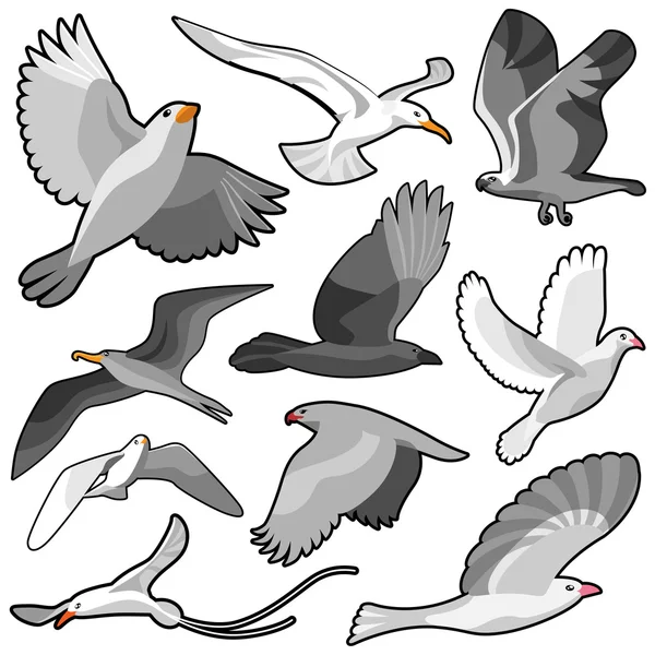 Conjunto de pássaros — Vetor de Stock
