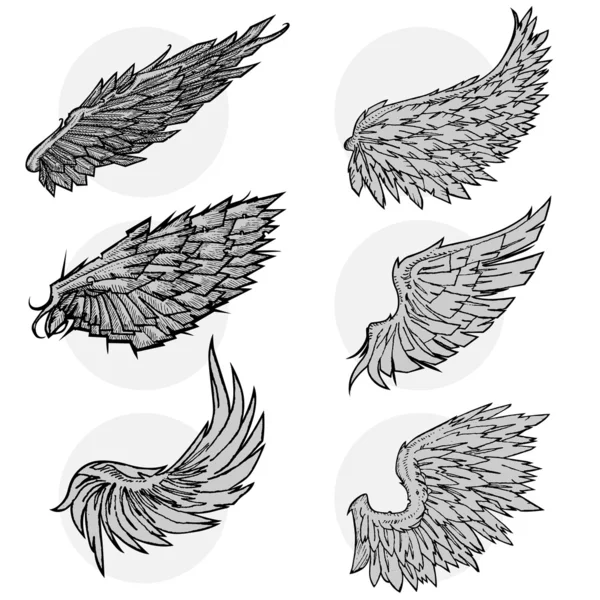 Vleugel set — Stockvector