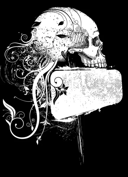 Crâne et cadre — Image vectorielle