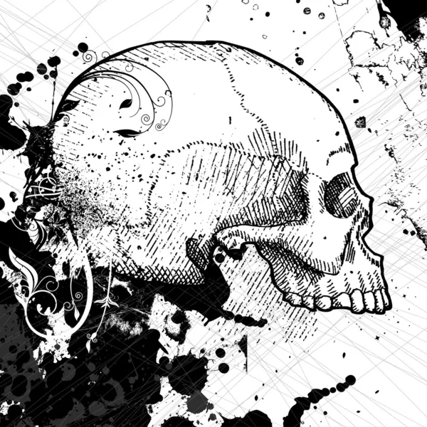 Skull vector — Stock Vector