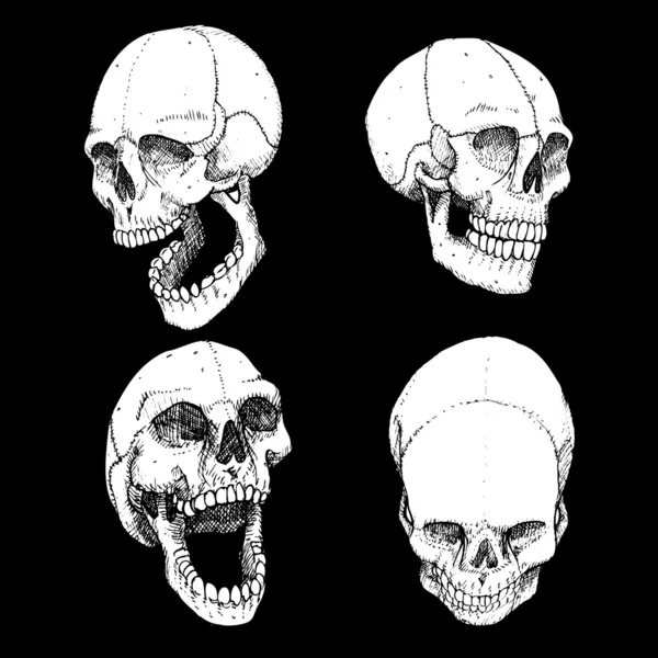 Laughing skulls — Stock Vector