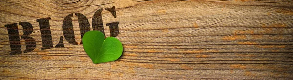 Eco vriendschappelijke blog - groen — Stockfoto