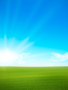 Landscape - green field and blue sky clipart