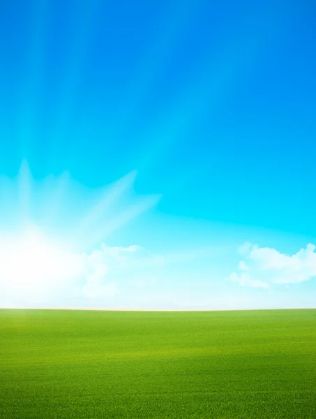 Krajina - zelená pole a modré nebe — Stock fotografie