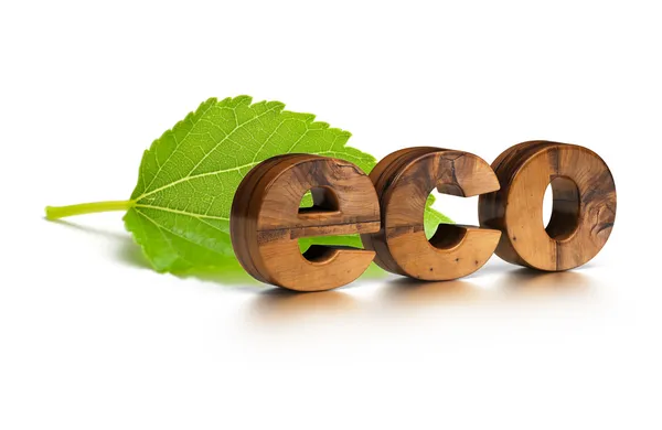 Деревянное эко-слово и зеленый лист — стоковое фото