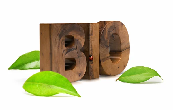Bio szó és a zöld levelek — Stock Fotó