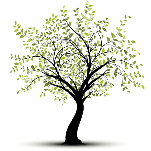 Árvore vetorial verde — Vetor de Stock
