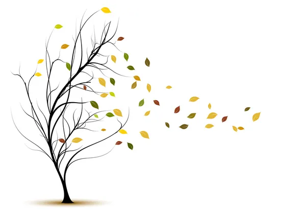 Silhouette albero decorativo in autunno — Foto Stock