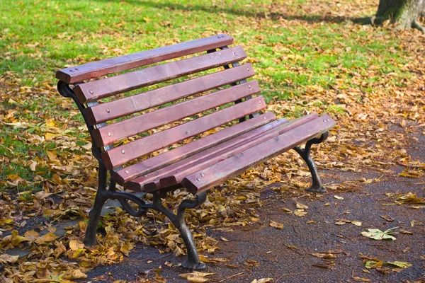 在秋天在公园长椅 — 图库照片
