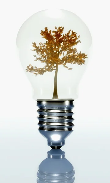 Tree in a light bulb isolated on white — Stock fotografie