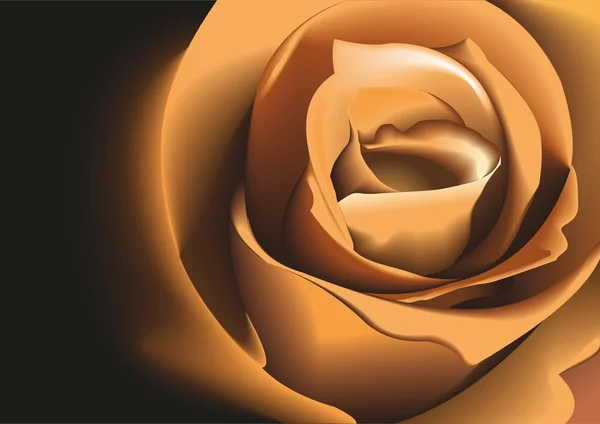 Rose beige. vektor illustration. — Stock vektor