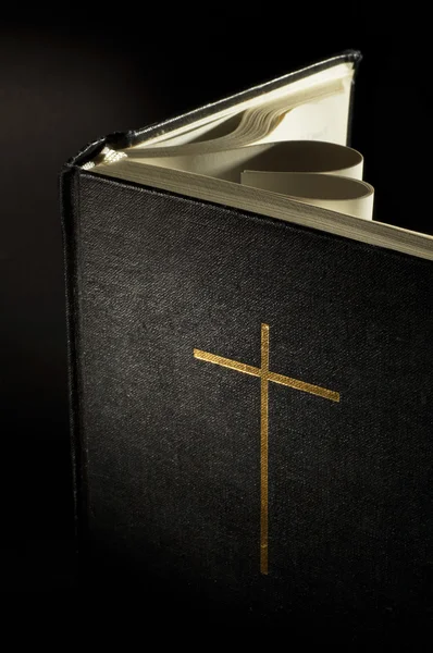 Páginas de una Biblia curvada en un corazón —  Fotos de Stock